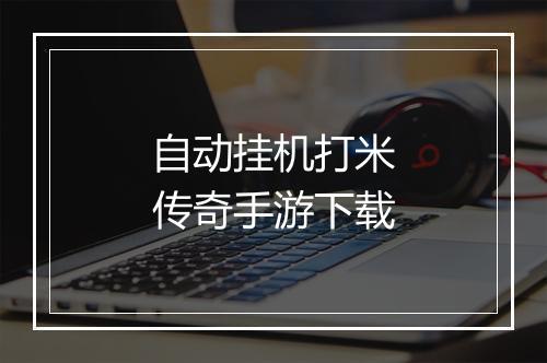 自动挂机打米传奇手游下载