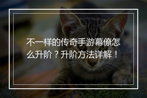 不一样的传奇手游幕僚怎么升阶？升阶方法详解！