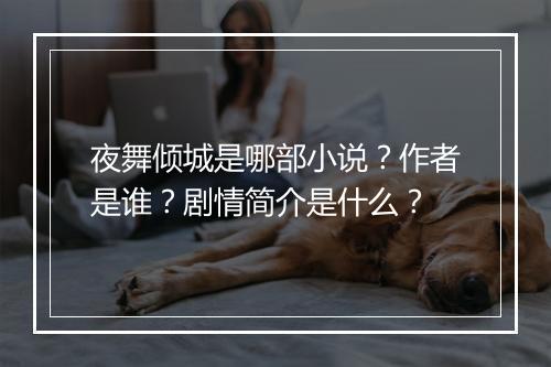 夜舞倾城是哪部小说？作者是谁？剧情简介是什么？