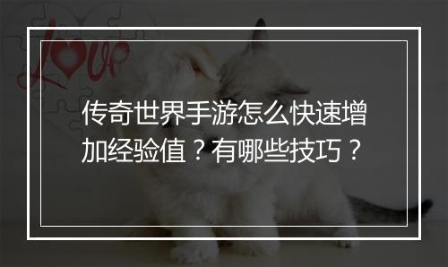 传奇世界手游怎么快速增加经验值？有哪些技巧？