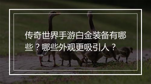 传奇世界手游白金装备有哪些？哪些外观更吸引人？