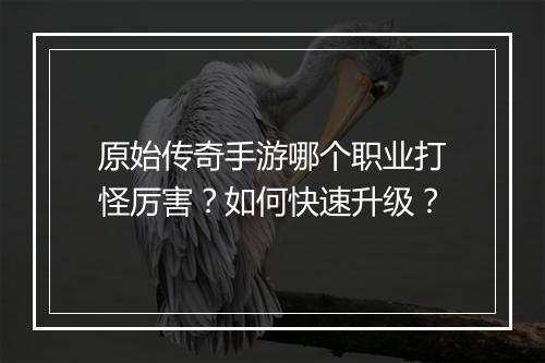 原始传奇手游哪个职业打怪厉害？如何快速升级？