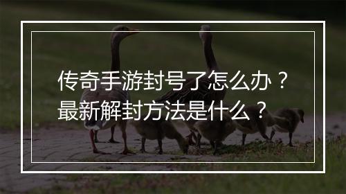传奇手游封号了怎么办？最新解封方法是什么？