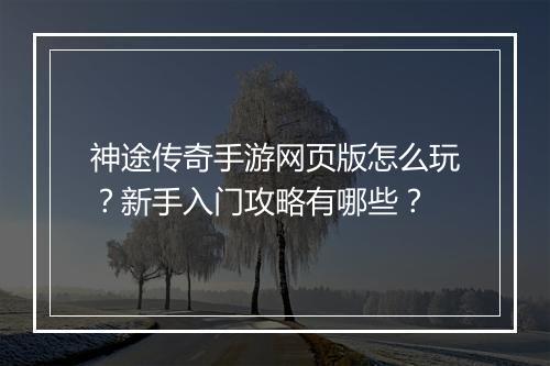 神途传奇手游网页版怎么玩？新手入门攻略有哪些？