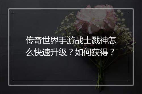 传奇世界手游战士戮神怎么快速升级？如何获得？