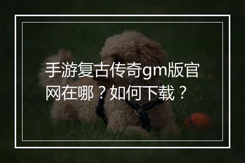 手游复古传奇gm版官网在哪？如何下载？