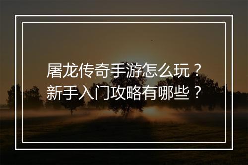 屠龙传奇手游怎么玩？新手入门攻略有哪些？