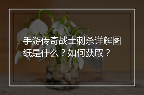 手游传奇战士刺杀详解图纸是什么？如何获取？
