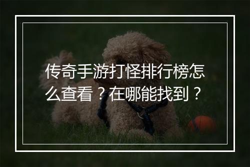 传奇手游打怪排行榜怎么查看？在哪能找到？