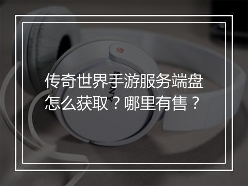 传奇世界手游服务端盘怎么获取？哪里有售？