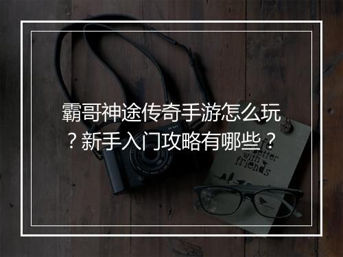 霸哥神途传奇手游怎么玩？新手入门攻略有哪些？