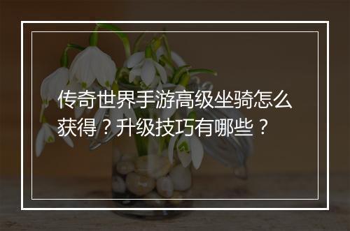 传奇世界手游高级坐骑怎么获得？升级技巧有哪些？