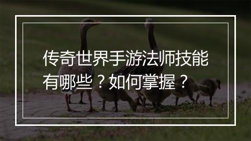 传奇世界手游法师技能有哪些？如何掌握？