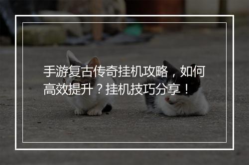 手游复古传奇挂机攻略，如何高效提升？挂机技巧分享！