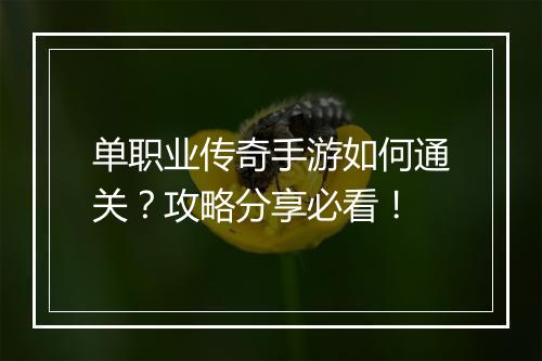 单职业传奇手游如何通关？攻略分享必看！