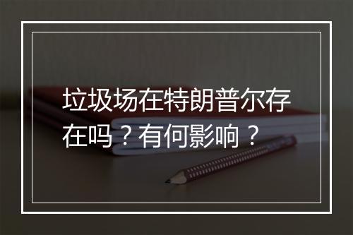 垃圾场在特朗普尔存在吗？有何影响？