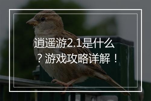 逍遥游2.1是什么？游戏攻略详解！
