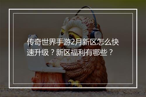 传奇世界手游2月新区怎么快速升级？新区福利有哪些？