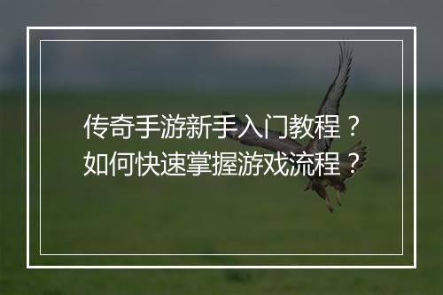 传奇手游新手入门教程？如何快速掌握游戏流程？