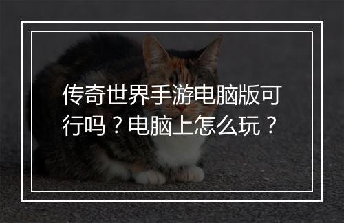 传奇世界手游电脑版可行吗？电脑上怎么玩？