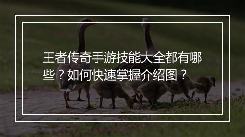 王者传奇手游技能大全都有哪些？如何快速掌握介绍图？