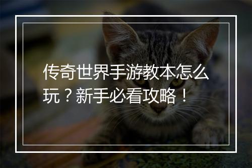 传奇世界手游教本怎么玩？新手必看攻略！