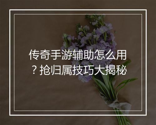 传奇手游辅助怎么用？抢归属技巧大揭秘
