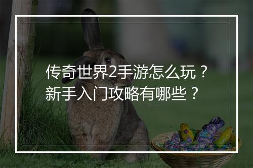 传奇世界2手游怎么玩？新手入门攻略有哪些？