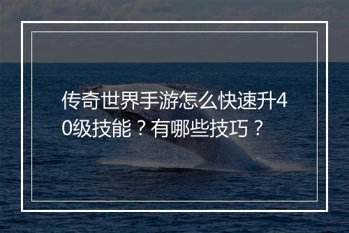传奇世界手游怎么快速升40级技能？有哪些技巧？