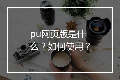 pu网页版是什么？如何使用？