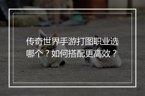 传奇世界手游打图职业选哪个？如何搭配更高效？