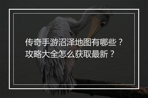 传奇手游沼泽地图有哪些？攻略大全怎么获取最新？