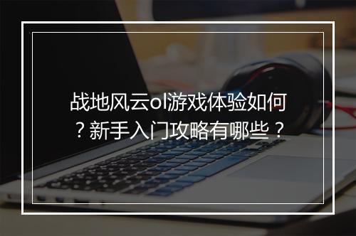 战地风云ol游戏体验如何？新手入门攻略有哪些？