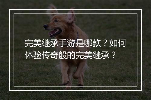 完美继承手游是哪款？如何体验传奇般的完美继承？