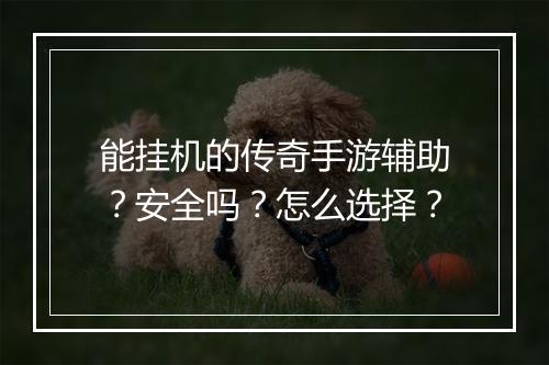 能挂机的传奇手游辅助？安全吗？怎么选择？