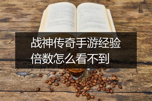 战神传奇手游经验倍数怎么看不到