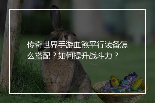 传奇世界手游血煞平行装备怎么搭配？如何提升战斗力？
