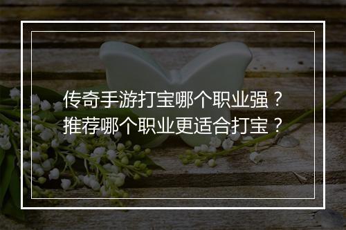 传奇手游打宝哪个职业强？推荐哪个职业更适合打宝？