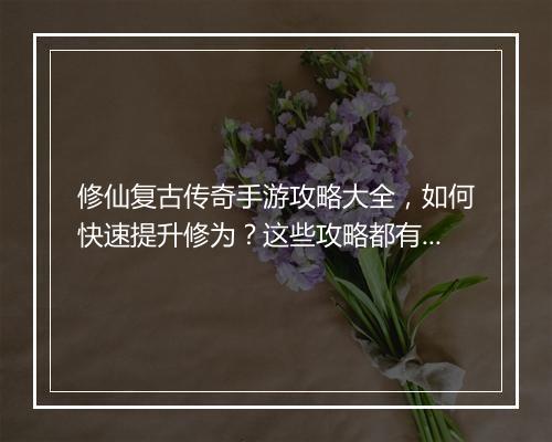 修仙复古传奇手游攻略大全，如何快速提升修为？这些攻略都有吗？