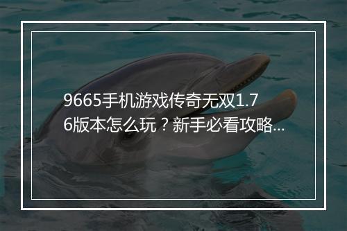 9665手机游戏传奇无双1.76版本怎么玩？新手必看攻略！