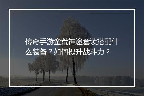 传奇手游蛮荒神途套装搭配什么装备？如何提升战斗力？