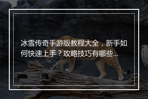冰雪传奇手游版教程大全，新手如何快速上手？攻略技巧有哪些？