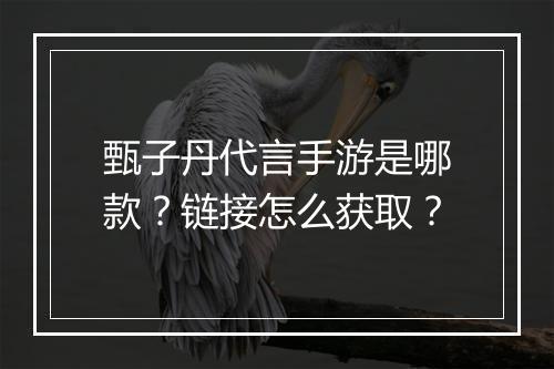 甄子丹代言手游是哪款？链接怎么获取？