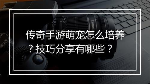 传奇手游萌宠怎么培养？技巧分享有哪些？