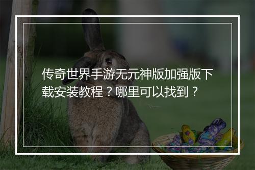 传奇世界手游无元神版加强版下载安装教程？哪里可以找到？