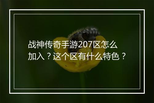 战神传奇手游207区怎么加入？这个区有什么特色？