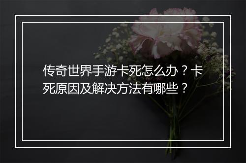 传奇世界手游卡死怎么办？卡死原因及解决方法有哪些？