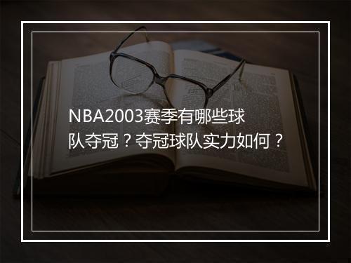 NBA2003赛季有哪些球队夺冠？夺冠球队实力如何？