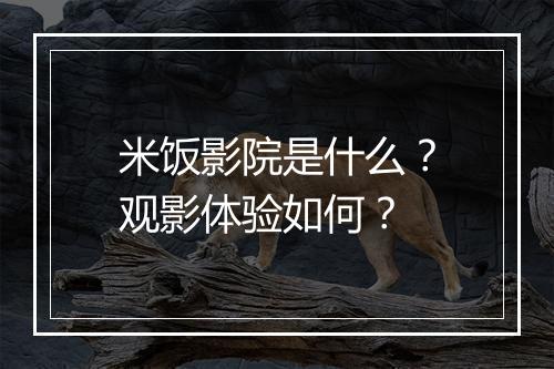 米饭影院是什么？观影体验如何？