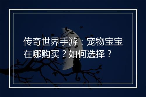 传奇世界手游：宠物宝宝在哪购买？如何选择？
